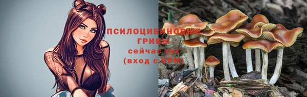 a pvp Бугульма